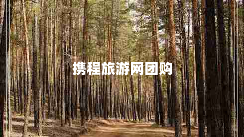 攜程旅游網(wǎng)團(tuán)購 攜程旅游網(wǎng)團(tuán)購