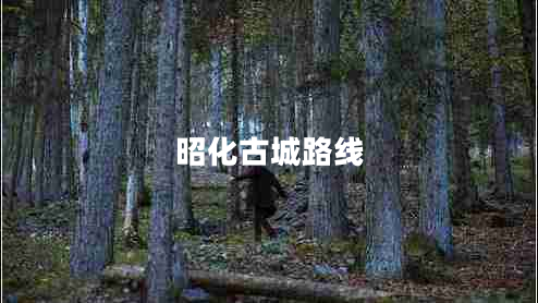 昭化古城路線