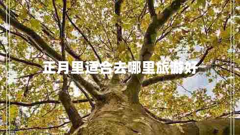 正月里適合去哪里旅游好