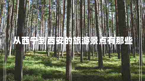 從西寧到西安的旅游景點(diǎn)有那些