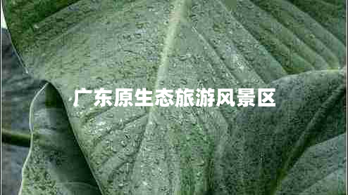 廣東原生態(tài)旅游風(fēng)景區(qū)