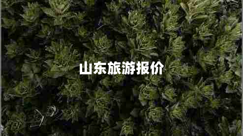 山東旅游報(bào)價(jià) 山東旅游報(bào)價(jià)