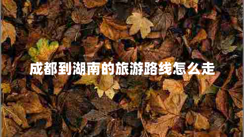 成都到湖南的旅游路線怎么走
