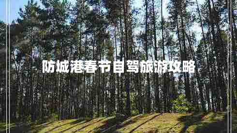 防城港春節(jié)自駕旅游攻略