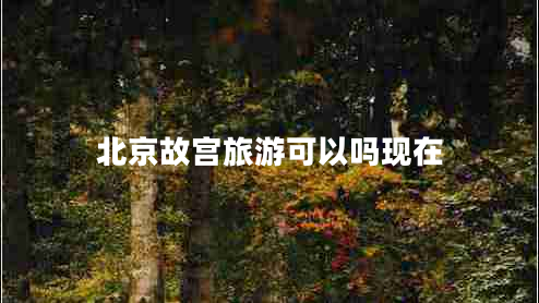 北京故宮旅游可以嗎現(xiàn)在