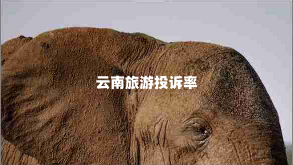 云南旅游投訴率 云南旅游投訴率