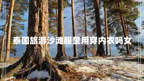 泰國旅游沙灘服里用穿內(nèi)衣嗎女 泰國旅游沙灘服里用穿內(nèi)衣嗎女