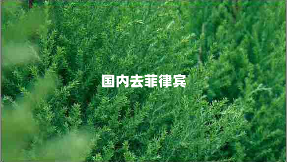 國(guó)內(nèi)去菲律賓