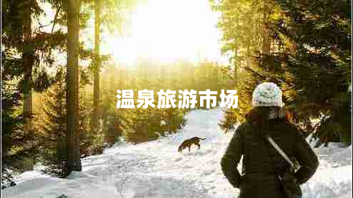 溫泉旅游市場(chǎng) 溫泉旅游市場(chǎng)
