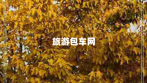 旅游包車網(wǎng)