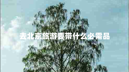去北京旅游要帶什么必需品