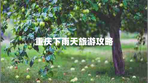 重慶下雨天旅游攻略 重慶下雨天旅游攻略