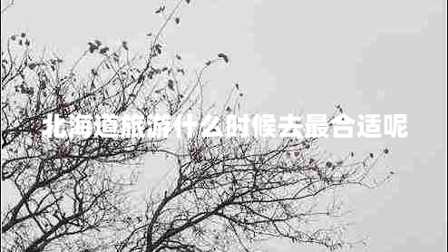 北海道旅游什么時(shí)候去最合適呢