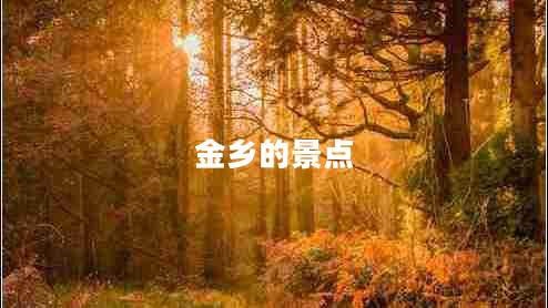 金鄉(xiāng)的景點(diǎn)