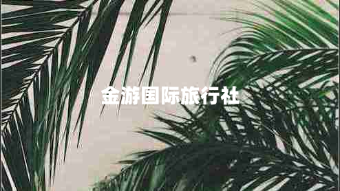 金游國際旅行社