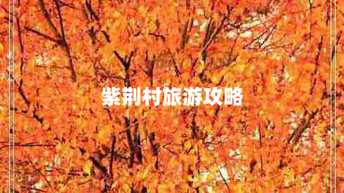 紫荊村旅游攻略 紫荊村旅游攻略