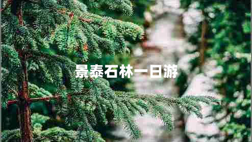 景泰石林一日游