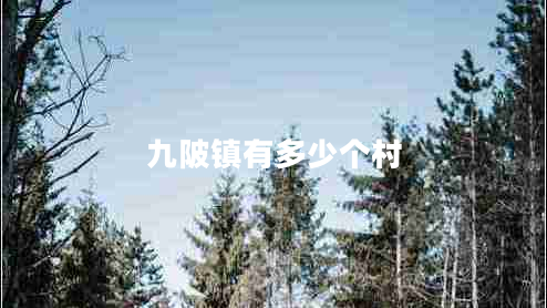 九陂鎮(zhèn)有多少個(gè)村