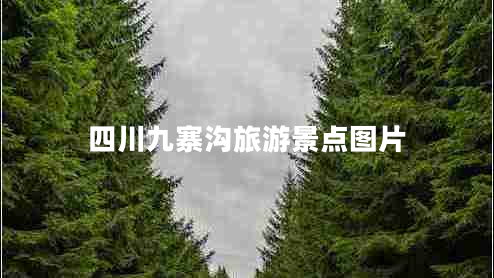 四川九寨溝旅游景點圖片