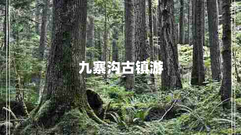 九寨溝古鎮(zhèn)游