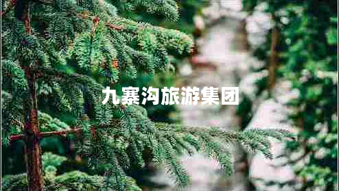 九寨溝旅游集團(tuán) 九寨溝旅游集團(tuán)