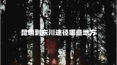 昆明到東川途徑哪些地方 昆明到東川途徑哪些地方