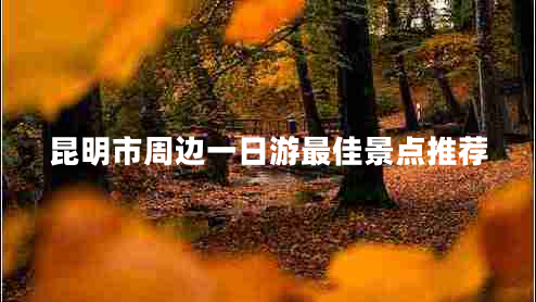 昆明市周邊一日游最佳景點推薦