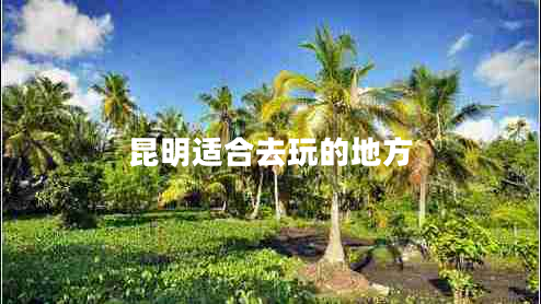 昆明適合去玩的地方