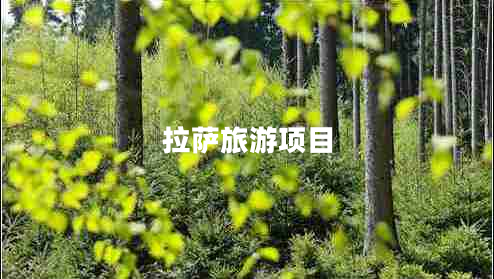 拉薩旅游項(xiàng)目