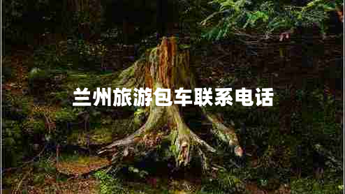蘭州旅游包車聯(lián)系電話 蘭州旅游包車聯(lián)系電話