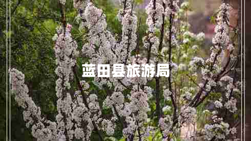 藍田縣旅游局 藍田縣旅游局