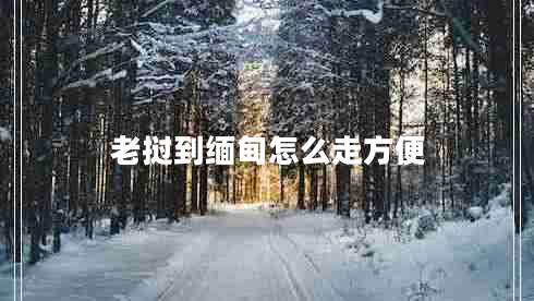 老撾到緬甸怎么走方便