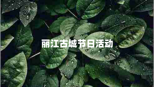 麗江古城節(jié)日活動