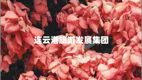 連云港旅游發(fā)展集團(tuán) 連云港旅游發(fā)展集團(tuán)