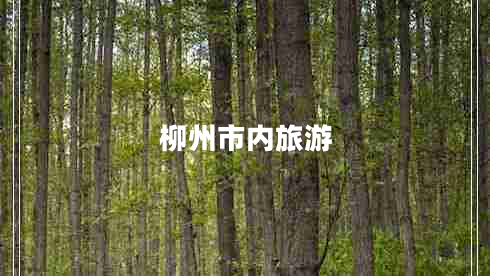 柳州市內(nèi)旅游 柳州市內(nèi)旅游