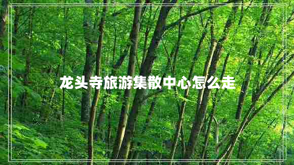 龍頭寺旅游集散中心怎么走