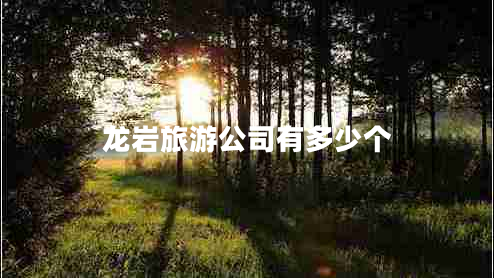 龍巖旅游公司有多少個