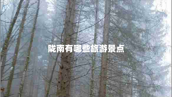 隴南有哪些旅游景點(diǎn)