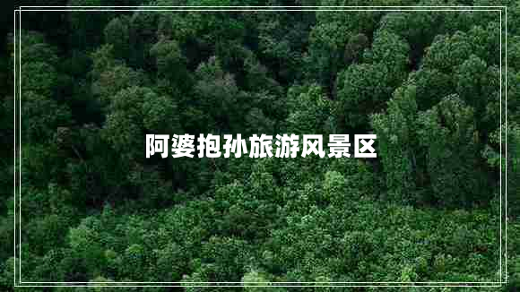 阿婆抱孫旅游風(fēng)景區(qū) 阿婆抱孫旅游風(fēng)景區(qū)