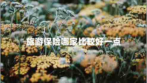 旅游保險哪家比較好一點 旅游保險哪家比較好一點