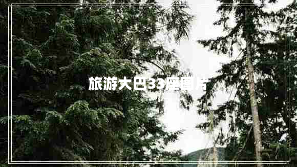 旅游大巴33座圖片