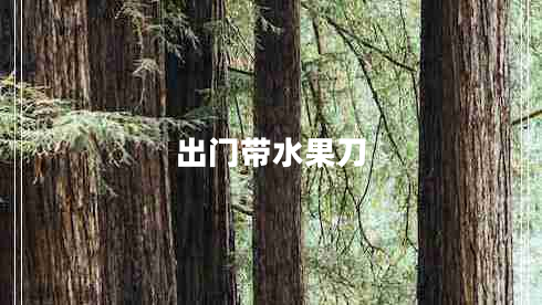 出門帶水果刀 出門帶水果刀