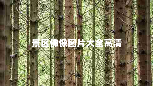 景區(qū)佛像圖片大全高清