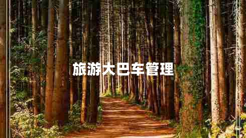 旅游大巴車管理