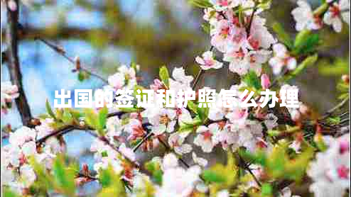 出國(guó)的簽證和護(hù)照怎么辦理