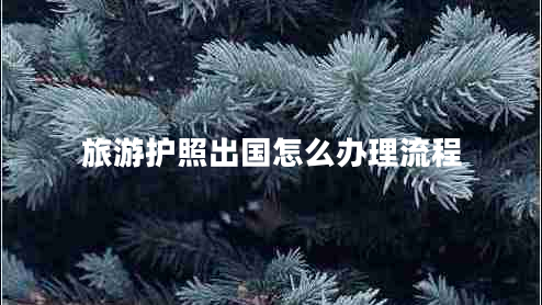 旅游護照出國怎么辦理流程