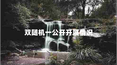 雙隨機(jī)一公開開展情況