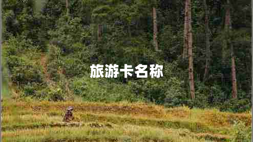 旅游卡名稱