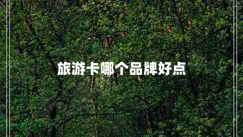 旅游卡哪個品牌好點 旅游卡哪個品牌好點