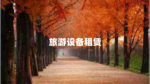 旅游設(shè)備租賃 旅游設(shè)備租賃